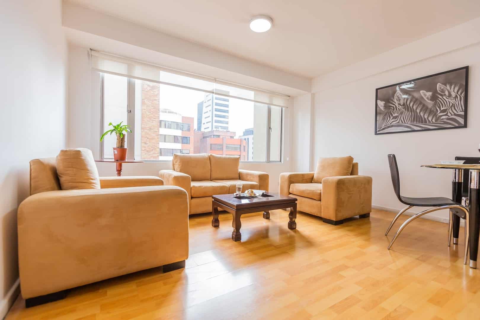 Savanna Suite Rep. Salvador
